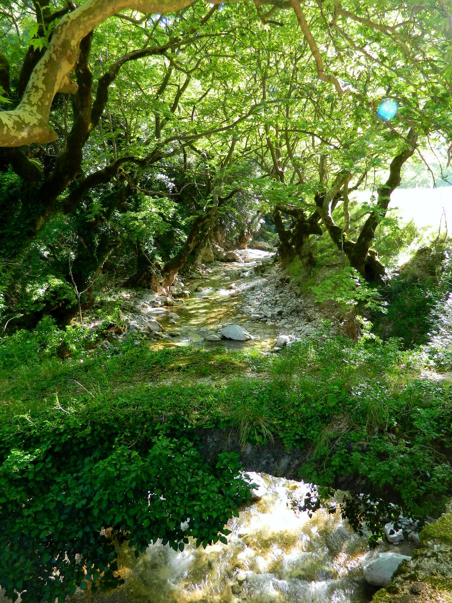 Εικόνα