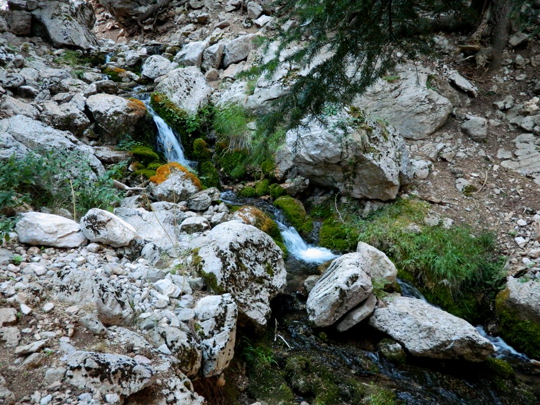 Εικόνα