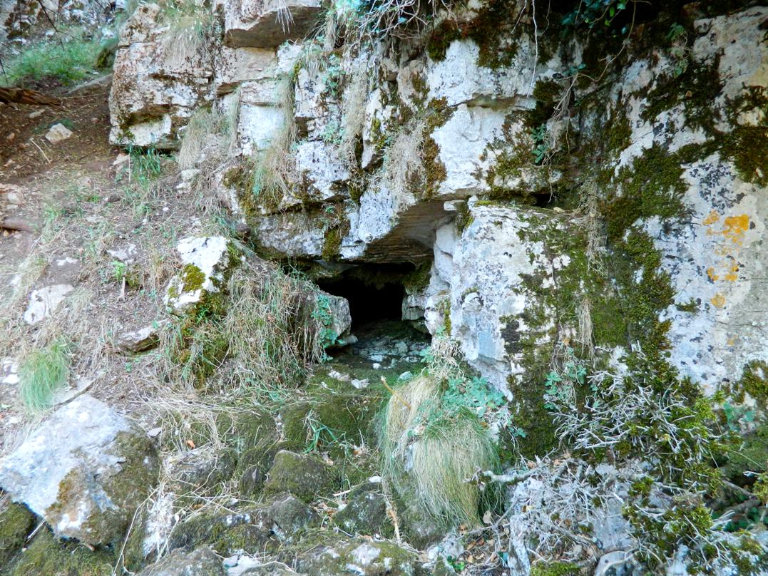 Εικόνα