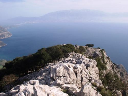 Εικόνα