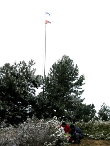 Εικόνα