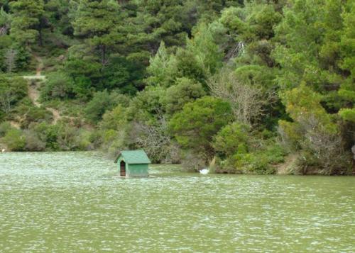 Εικόνα