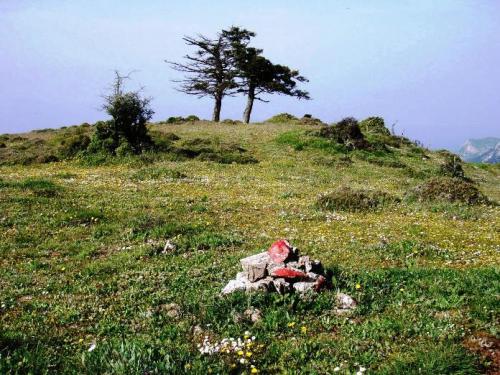 Εικόνα