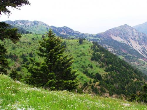 Εικόνα