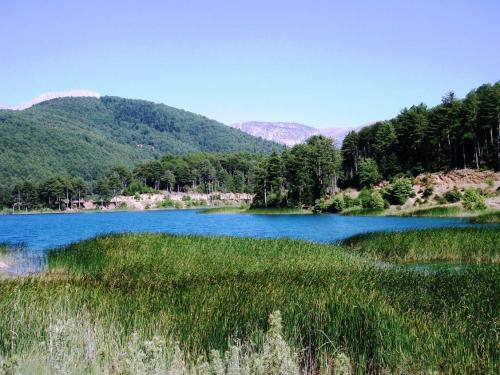 Εικόνα