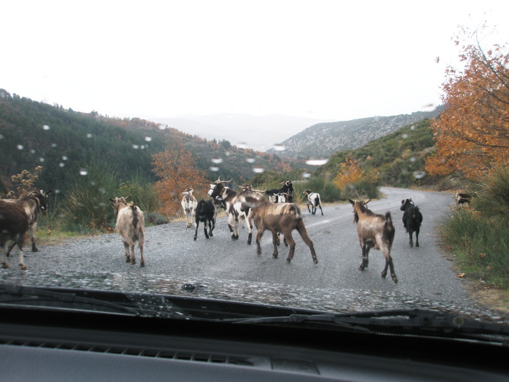 Εικόνα