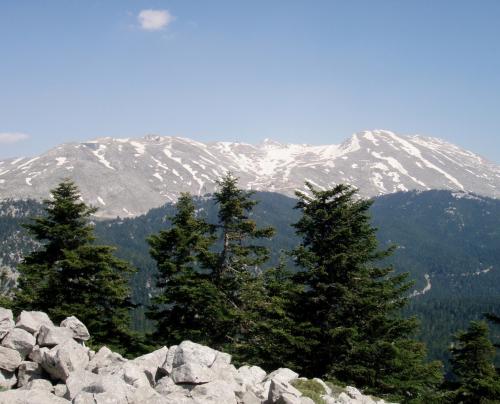 Εικόνα