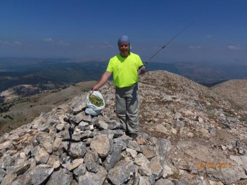 Εικόνα