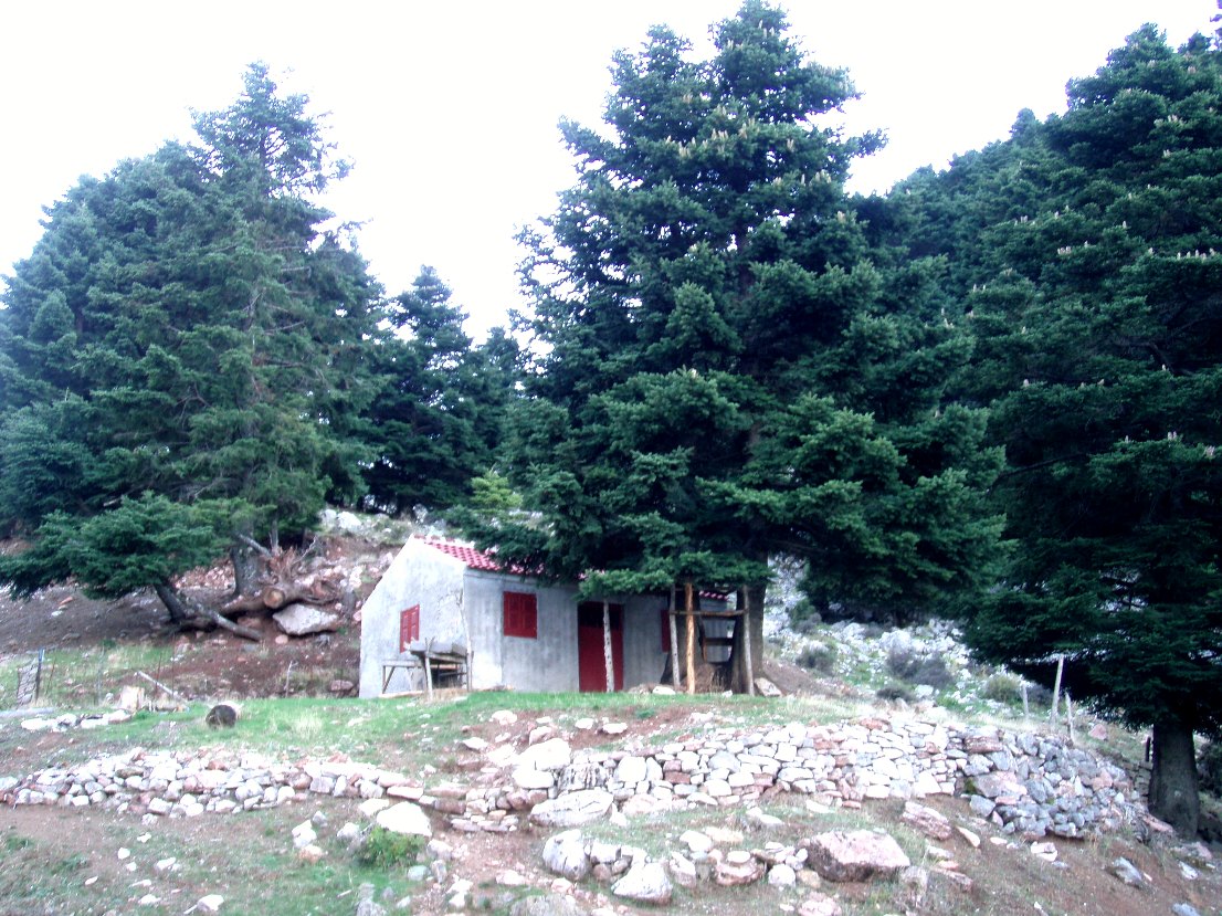 Εικόνα