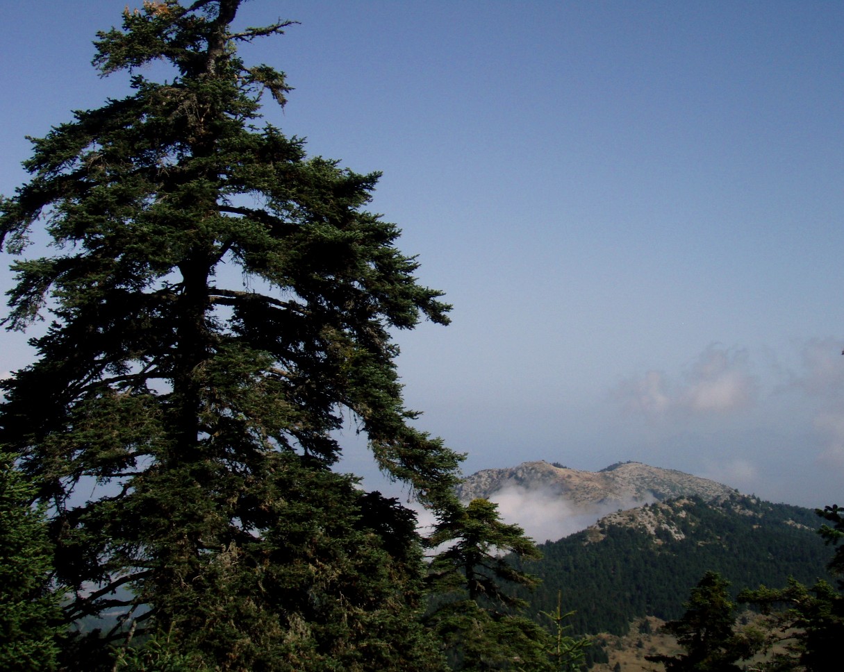 Εικόνα