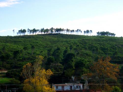 Εικόνα