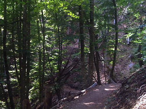 Το μονοπάτι της σιωπής, Όλυμπος 2009