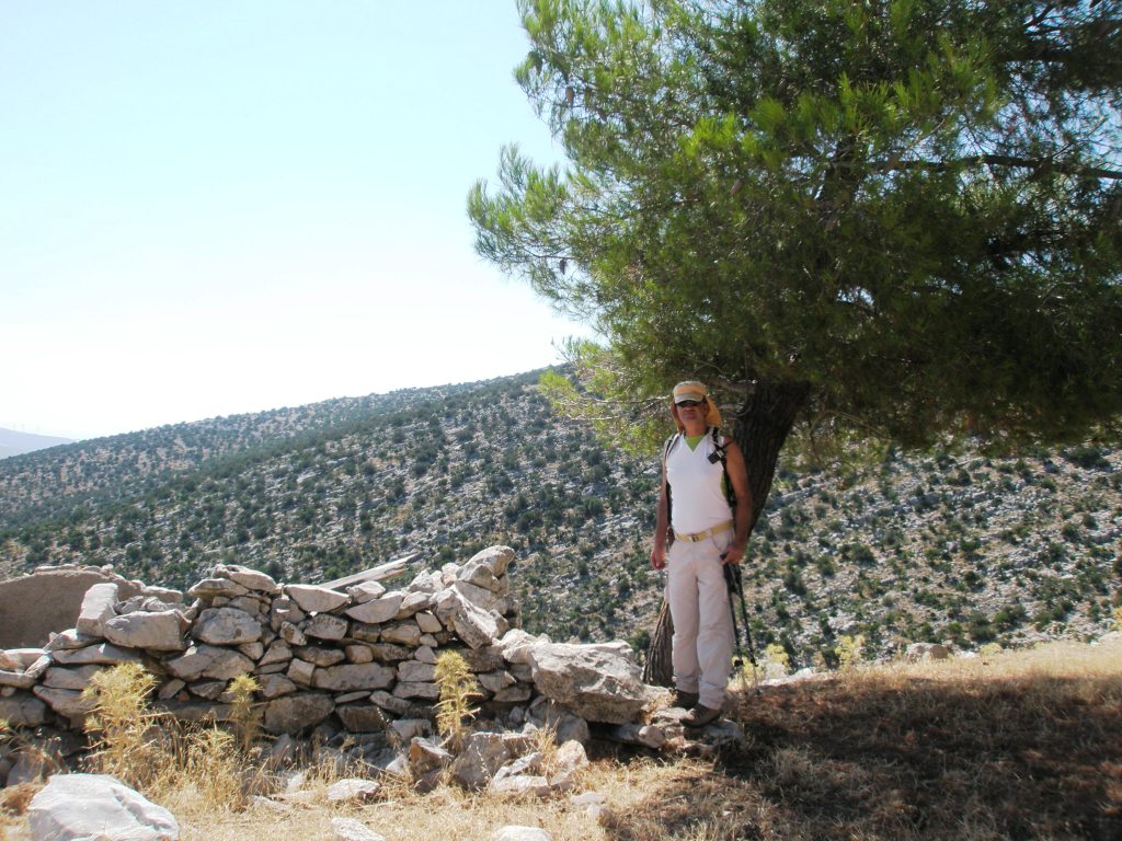 Εικόνα