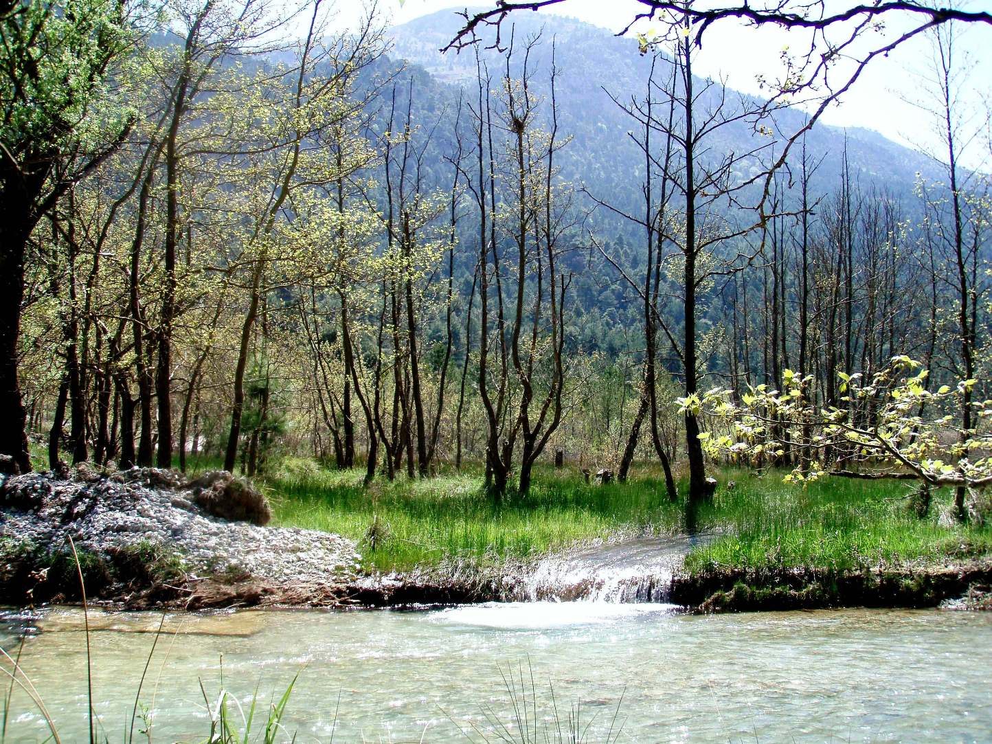 Εικόνα