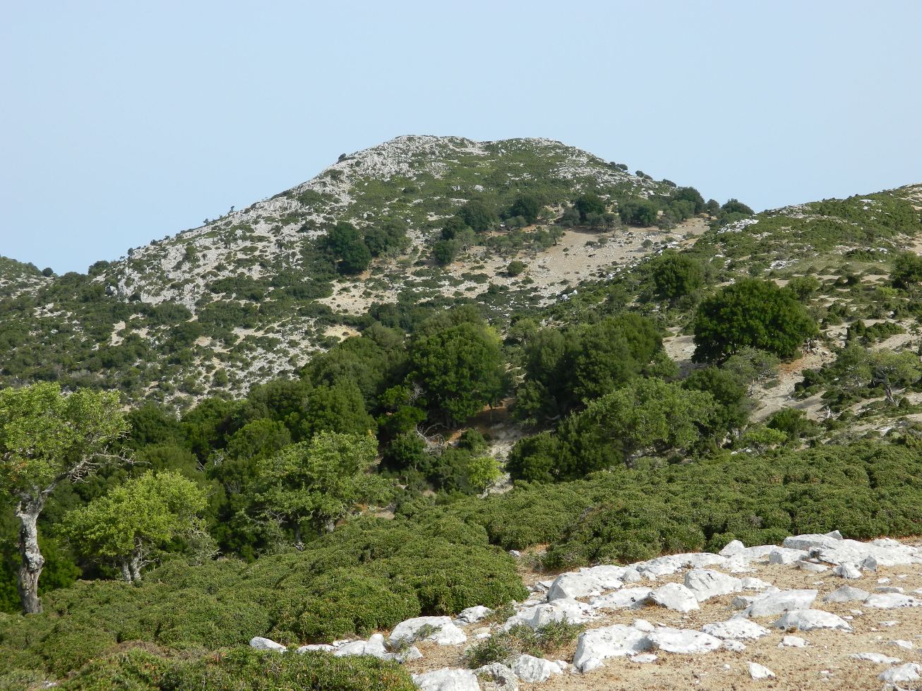 Εικόνα