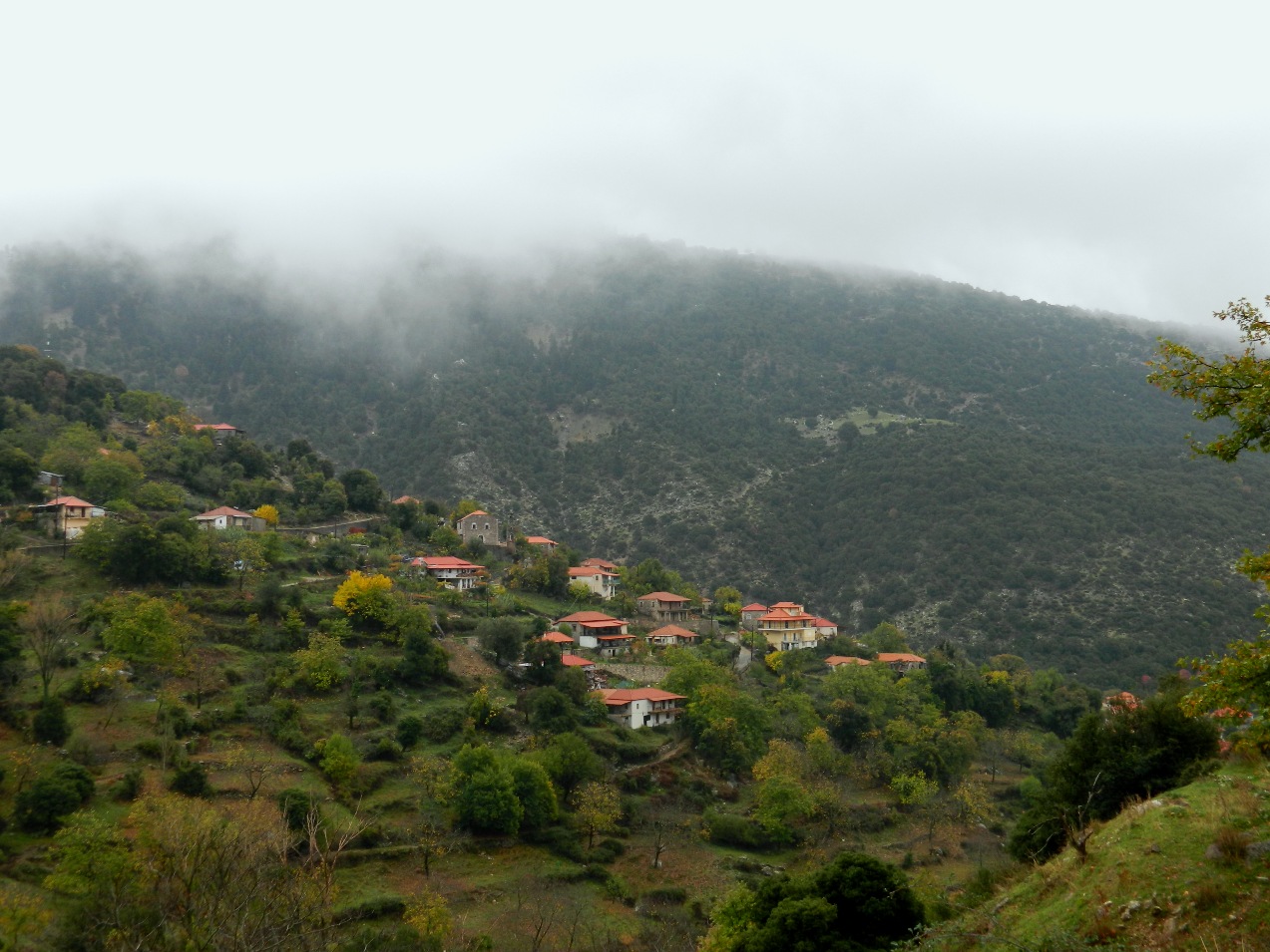 Εικόνα