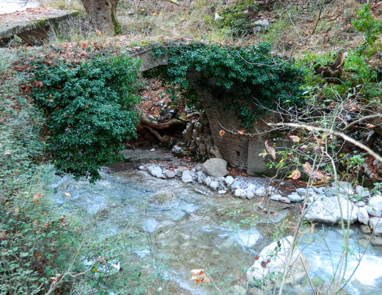 Εικόνα