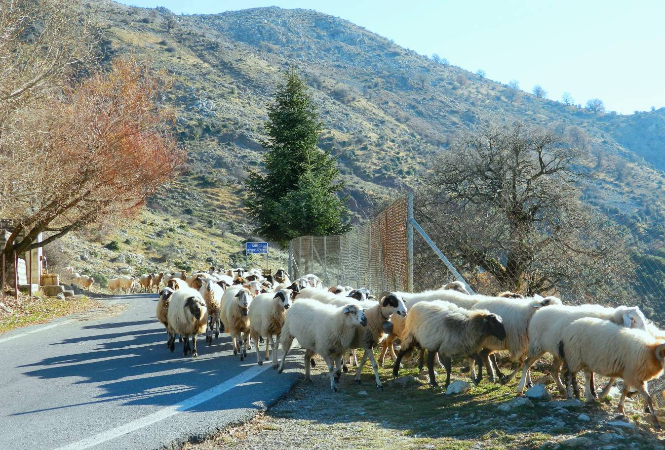 Εικόνα